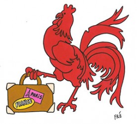 waalse haan