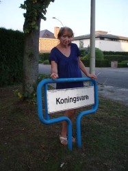 Koningsvaren