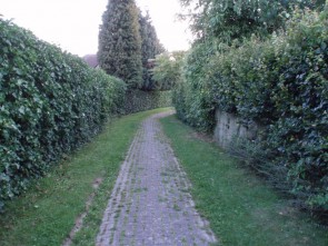 Weg Vogelwijk