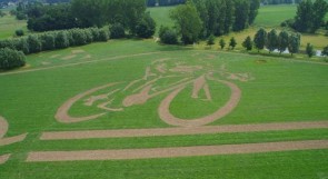 KL Borsbeek 2