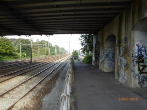 P1000408