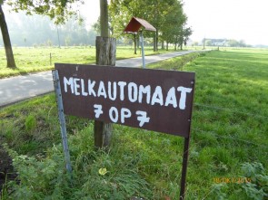 P1000687