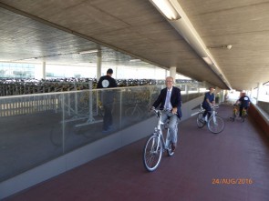 P1030522