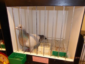 P1040069