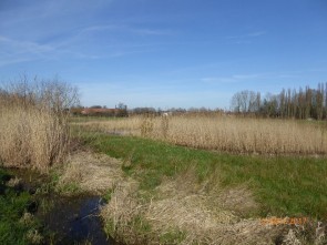 p1040683