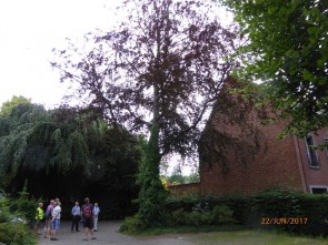 p1050320