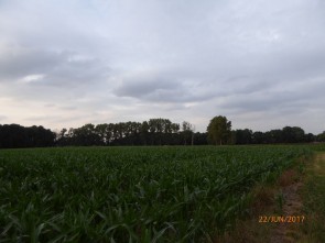 p1050331